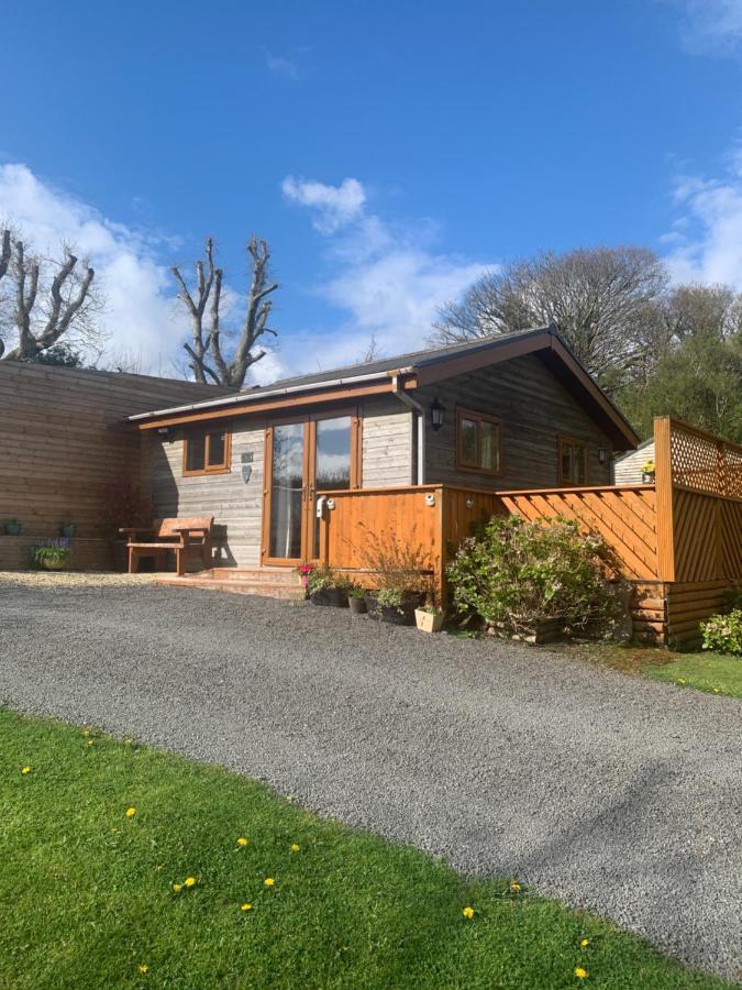 Swansea Log Chalet Pontardawe